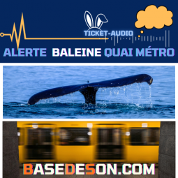 La baleine du quai de métro -1996 Ticket-audio  Mémoire de Paris téléchargement gratuit basedeson.com