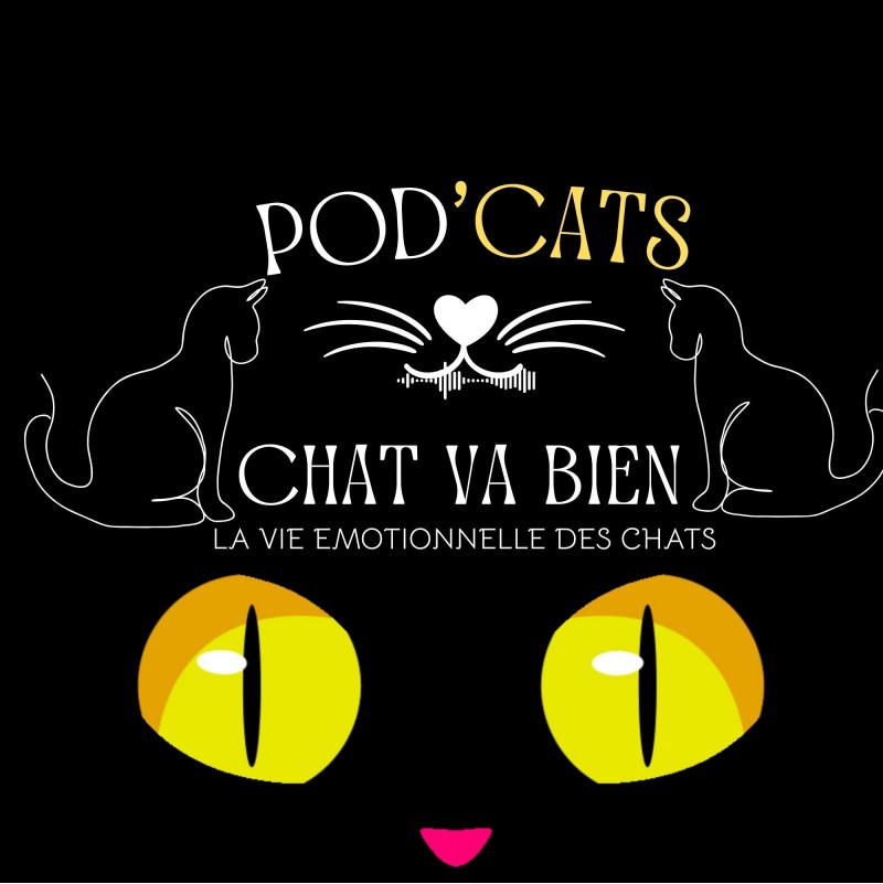 Chat Va Bien ? Le podcast ou je parle de mon chat. Simone et Raoul en thérapie chez Saint-Maclou Durée d'écoute: 3 minutes 20