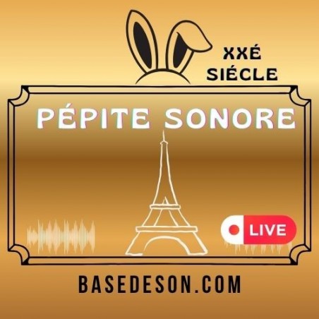 Mémoire de la France en 1992 Pépite Sonore Discussion entre joueurs de belote dans un bistro parisien. Ticket-audio - 1992