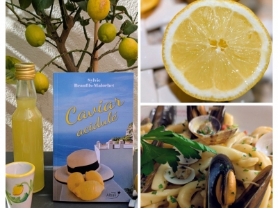 Caviar Acidulé , le dernier roman de Sylvie Beaufils Malochet
